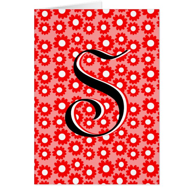 Red Daisies (Voorkant)