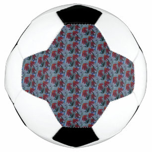 Red Daisies Voetbal