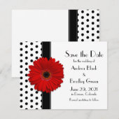Red Daisy Black Polka Dots Save the Date (Voorkant / Achterkant)