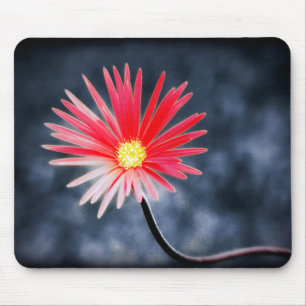 Red Daisy Flowers Muismat