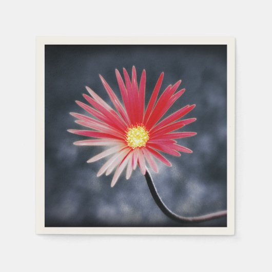 Red Daisy Flowers Servetten (Voorkant)