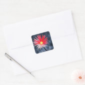 Red Daisy Flowers Vierkante Sticker (Envelop)