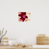 Red Daisy Fotoschilderij Bloemenkunst Poster (Keuken)