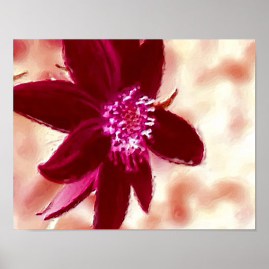 Red Daisy Fotoschilderij Bloemenkunst Poster (Voorkant)