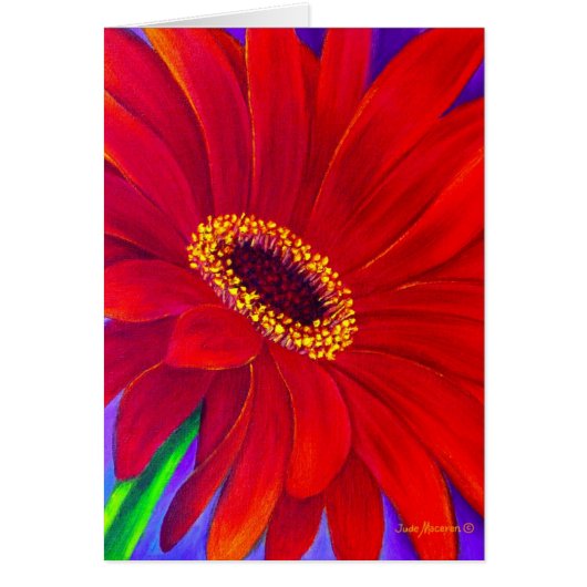 Red Daisy Gerber Flower Painting Art - Multi (Voorkant)