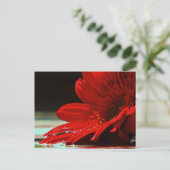 Red Daisy Gerbera Flower Briefkaart (Staand voorkant)