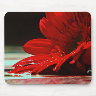 Red Daisy Gerbera Flower Muismat