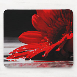 Red Daisy Gerbera Flowers Muismat