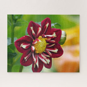 Red Daisy Jigzaag Puzzle Legpuzzel