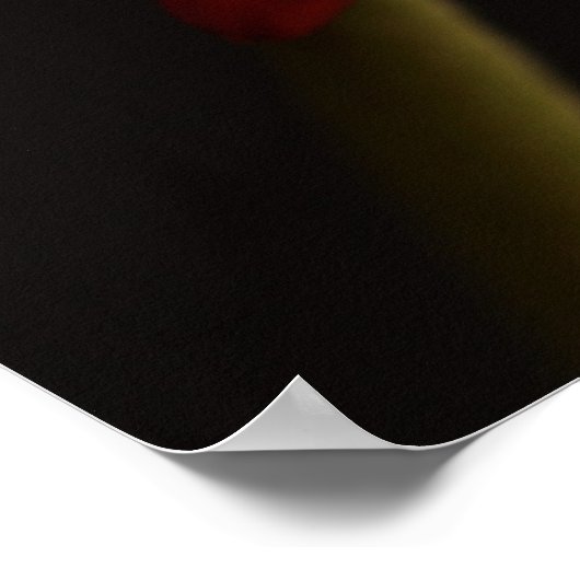 Red Daisy {Macro} Poster (Hoek)