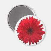 Red Daisy Magnet (Voorkant / Achterkant)