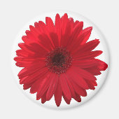 Red Daisy Magnet (Voorkant)
