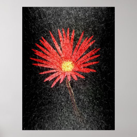 Red Daisy op zwarte achtergrond | Abstracte kunst Poster (Voorkant)