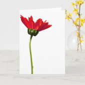 Red Daisy Simplicity Alle gelegenheden Groet Kaart (Gele Bloem)