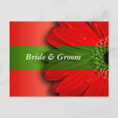 Red Daisy slaat de data op Aankondigingskaart (Voorkant)