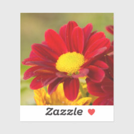 Red Daisy Sticker
