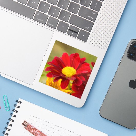 Red Daisy Sticker (Laptop met iPhone)