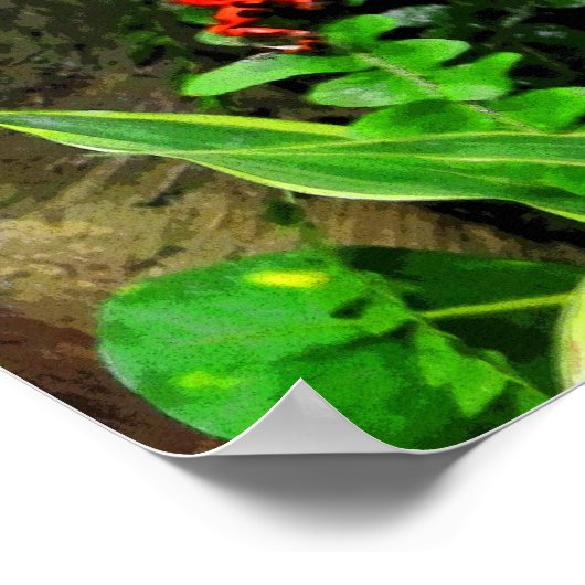 Red Dart Frog CB Poster (Hoek)