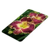 Red Daylilies Magneet (Linkerzijde)