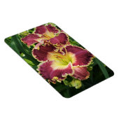 Red Daylilies Magneet (Rechterzijde)