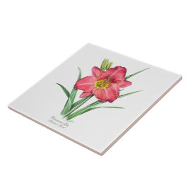 Red Daylily Botanical Art Stijl Tegeltje