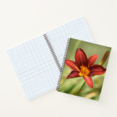 Red Daylily Flower Notitieboek (Binnen)