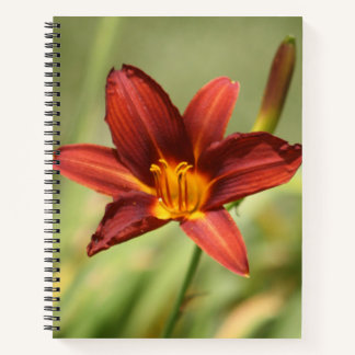 Red Daylily Flower Notitieboek