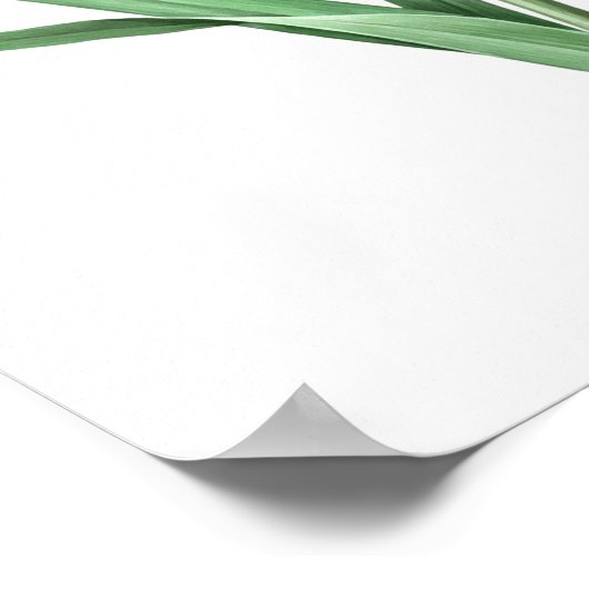 Red Daylily Original Art Print (Hoek)