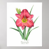 Red Daylily Original Art Print (Voorkant)