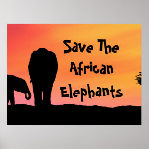 Red de Afrikaanse Olifanten Poster