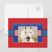 Red de Amerikaanse Briefkaarten voor wilde paarden (Voorkant / Achterkant)