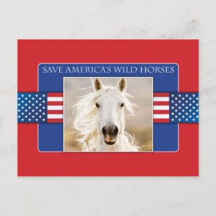 Red de Amerikaanse Briefkaarten voor wilde paarden