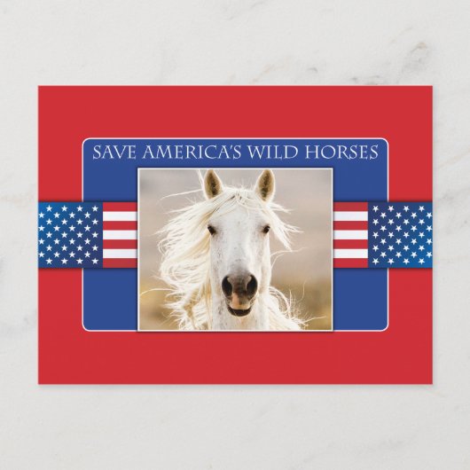 Red de Amerikaanse Briefkaarten voor wilde paarden (Voorkant)