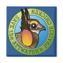 Red de Attwater's Prairie Kip