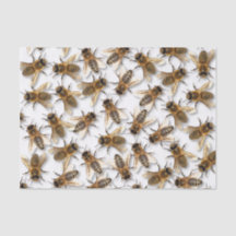 Red de Bee! Red de wereld! Live Design