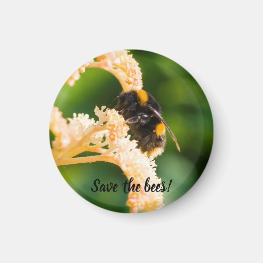 "Red de bijen" Bee op een bloem magneet (Voorkant)