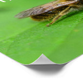 Red de bijen poster (Hoek)