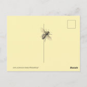 Red de Bijen Vintage Bij Afbeeldingen Briefkaart (Achterkant)