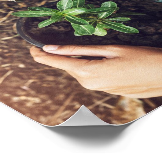 Red De Bomen Boomplanting Milieu Poster (Hoek)