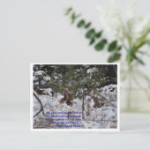 Red de bossen briefkaart (Staand voorkant)