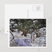 Red de bossen briefkaart (Voorkant / Achterkant)