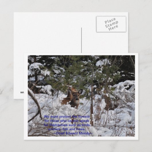 Red de bossen briefkaart (Voorkant / Achterkant)