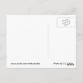 Red de bossen briefkaart (Achterkant)