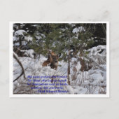 Red de bossen briefkaart (Voorkant)