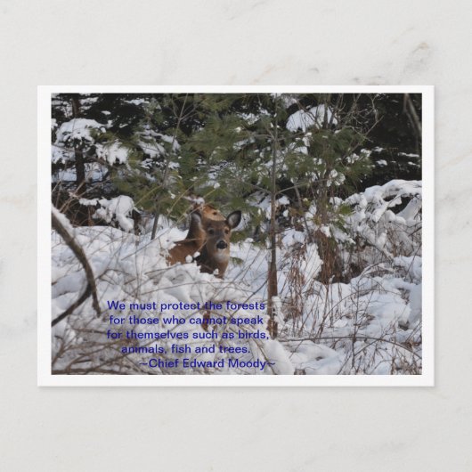 Red de bossen briefkaart (Voorkant)