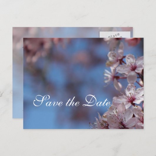 red de date , cherry blossom aankondigingskaart (Voorkant / Achterkant)