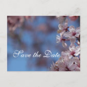 red de date , cherry blossom aankondigingskaart (Voorkant)