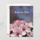 red de date , cherry blossom aankondigingskaart (Voorkant / Achterkant)