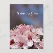 red de date , cherry blossom aankondigingskaart (Voorkant)