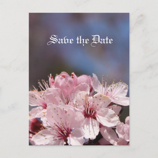 red de date , cherry blossom aankondigingskaart (Voorkant)